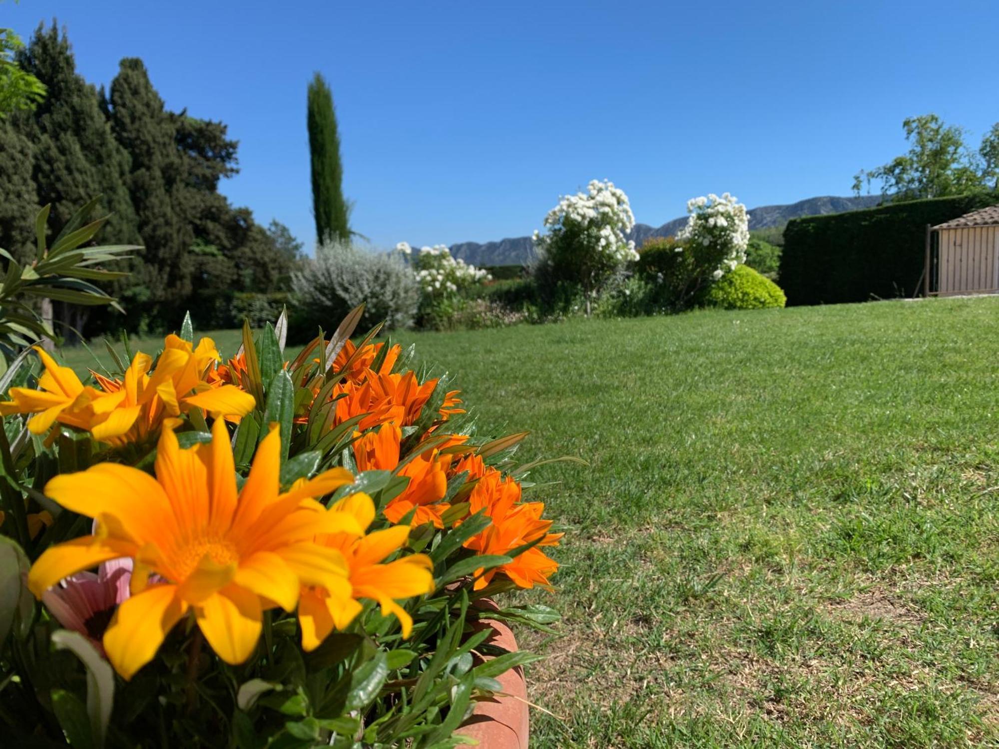 En Provence, Chez Stephanie Et Marcel Saint-Rémy-de-Provence Buitenkant foto