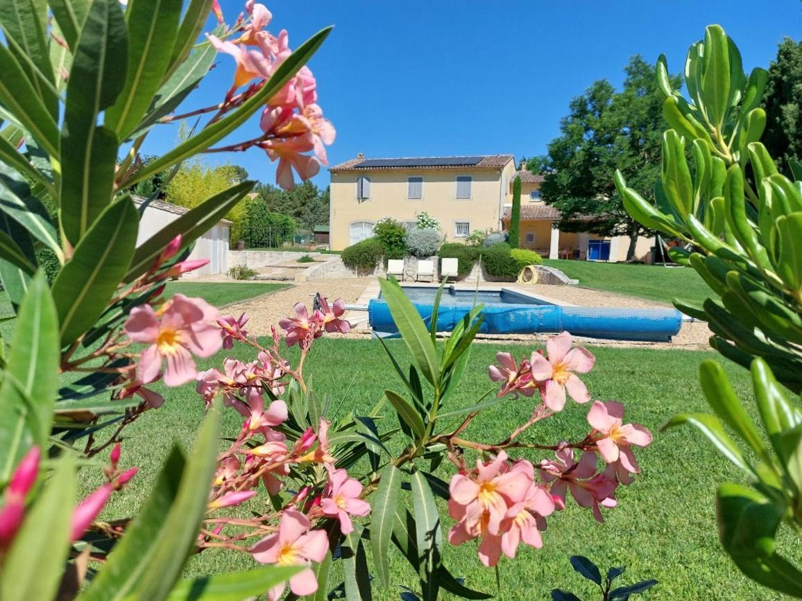En Provence, Chez Stephanie Et Marcel Saint-Rémy-de-Provence Buitenkant foto
