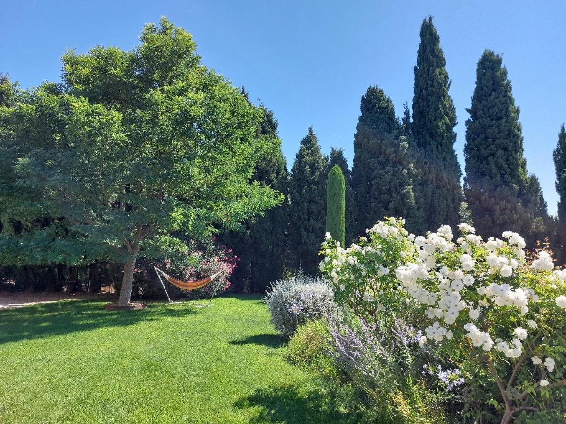 En Provence, Chez Stephanie Et Marcel Saint-Rémy-de-Provence Buitenkant foto